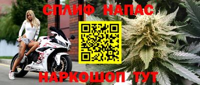 прущие крисы Будённовск