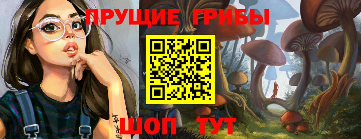 Псилоцибиновые грибы GOLDEN TEACHER  Вход с VPN  закладка  Галлюциногенные грибы прущие грибы  Сарапул 