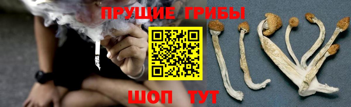Галлюциногенные грибы GOLDEN TEACHER Сарапул